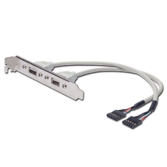 Εικόνα της ΛΑΜΑΚΙ USB2.0  2 Port 25cm